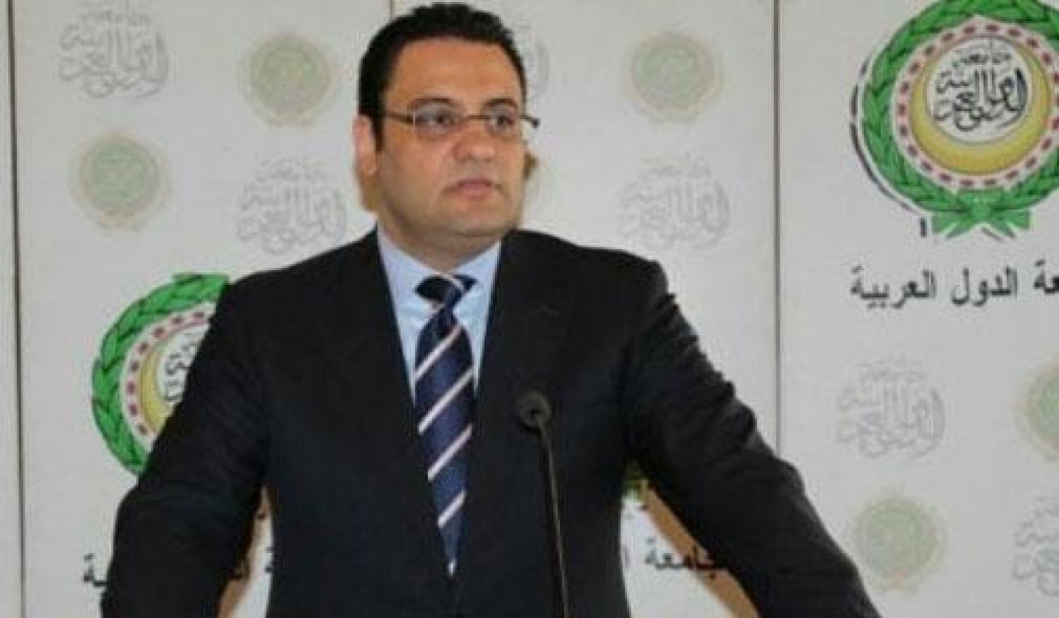 محمود عفيفى 