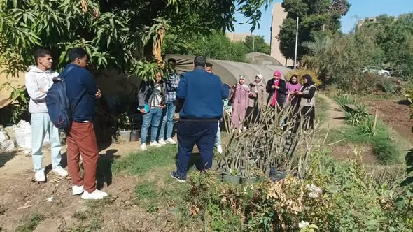 الزراعة تؤهل 345 متدرباً في مكافحة الآفات والمبيدات بـ 9 محافظات 