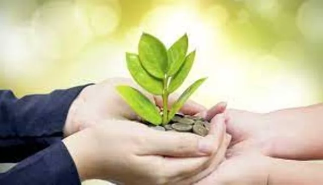 دفع زكاة المال للوالدين..الحُكم والضوابط 