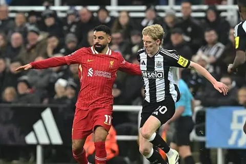 ليفربول ونيوكاسل