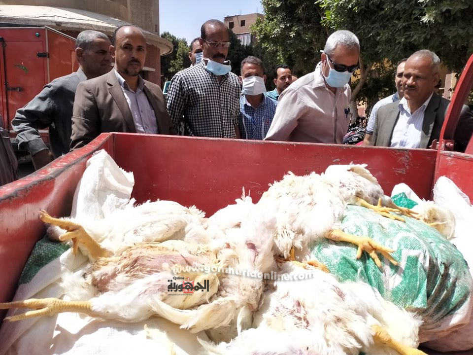 ضبط 100 ألف زجاجة عصير ودجاج نافق في حملة ببداري أسيوط