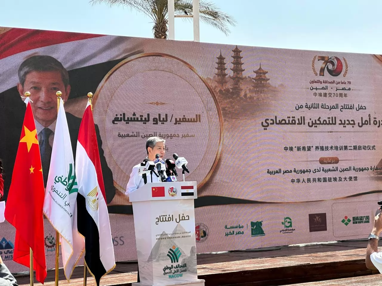 سفير الصين بالقاهرة لياو ليتشيانج