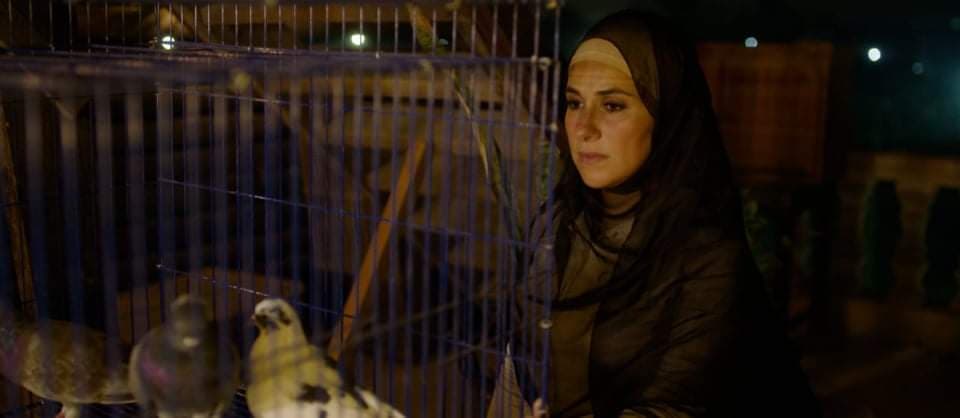 مدير تصوير حكاية