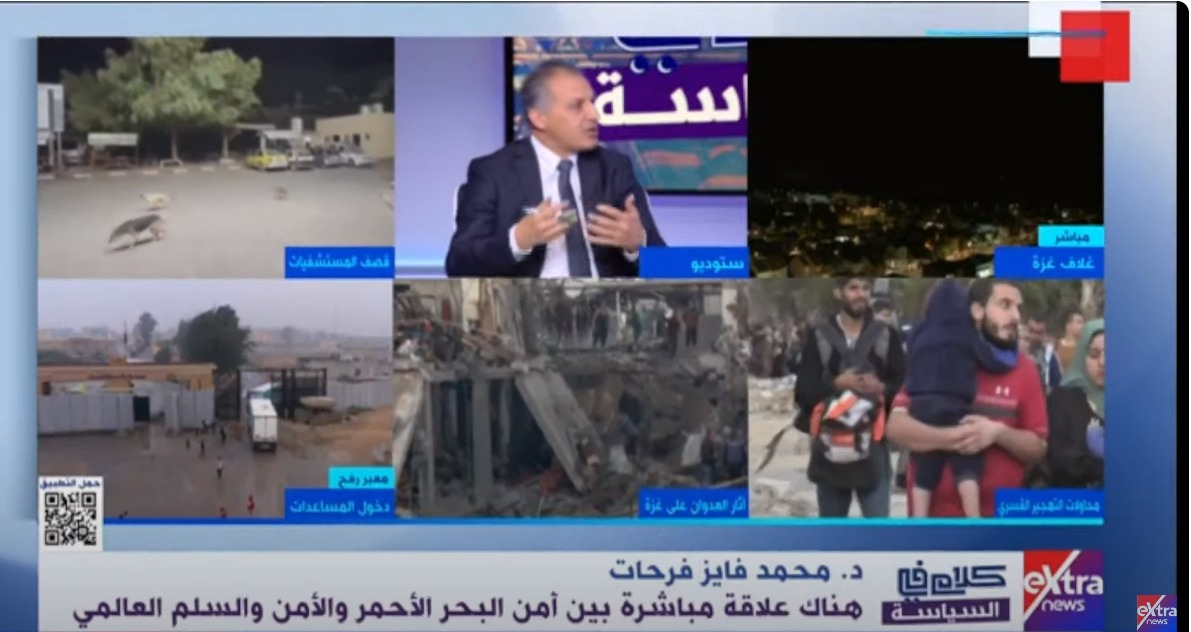 الدكتور محمد فايز فرحات 