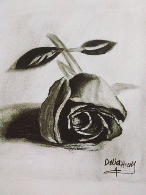 داليا حسنى تعشق الرسم بالشيكولاته.. صور