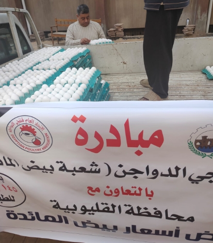 المهندس أيمن عطية محافظ القليوبية 