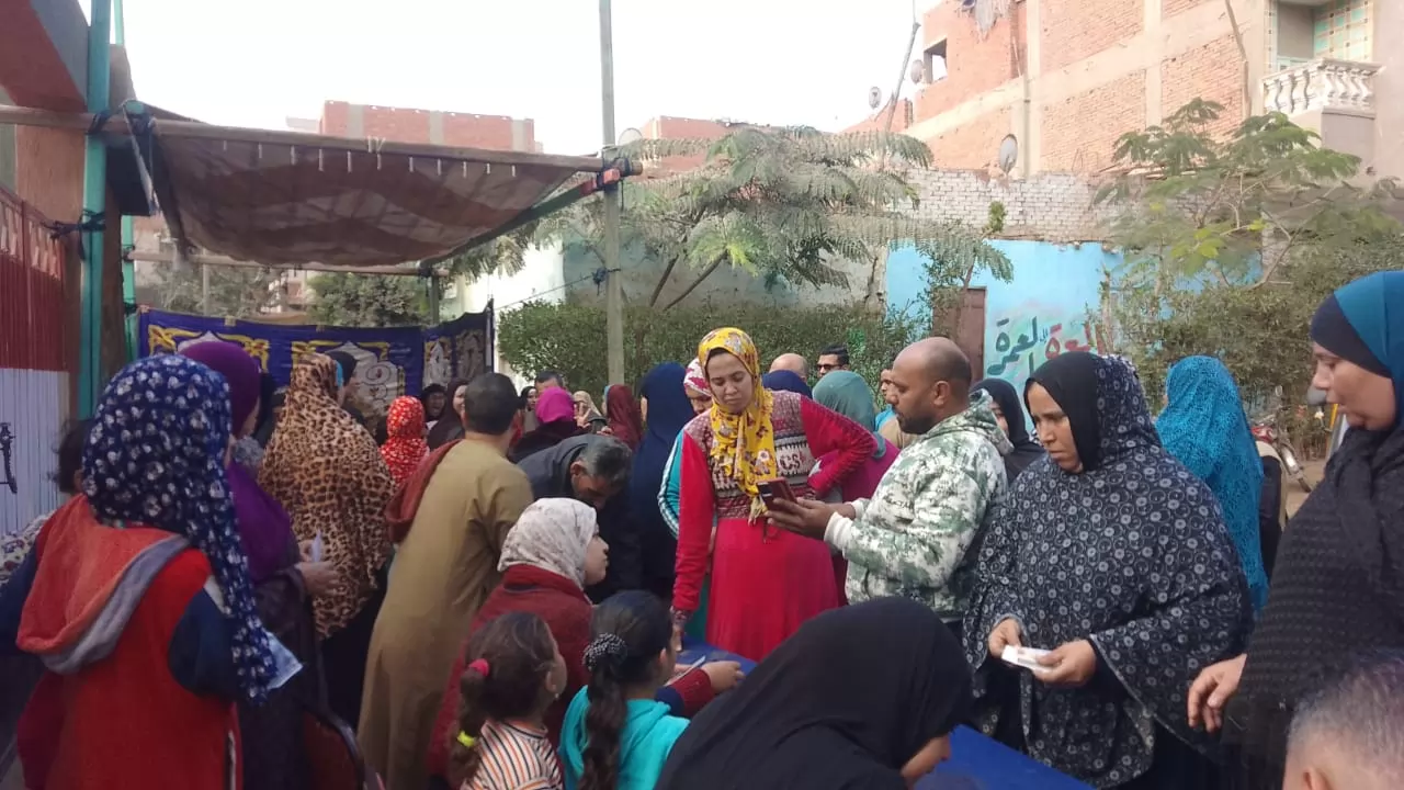 توافد على لجان الانتخابات بجولة الإعادة فى انتخابات النواب بالدقهلية 