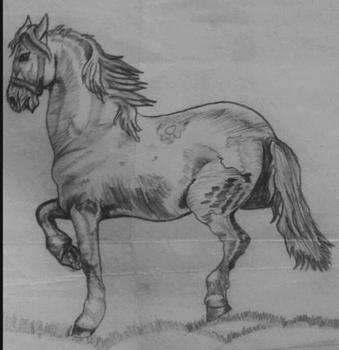 داليا تعشق الرسم وتسعى لتحقيق حلمها 