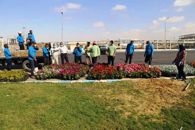 استمرار اعمال التنسيق الحضارى والتجميل بشوارع وميادين السويس.. بالصور