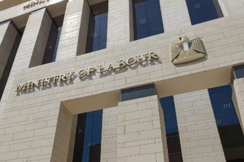 عاجل .. 9430 فرصة عمل في 13 محافظة.. 