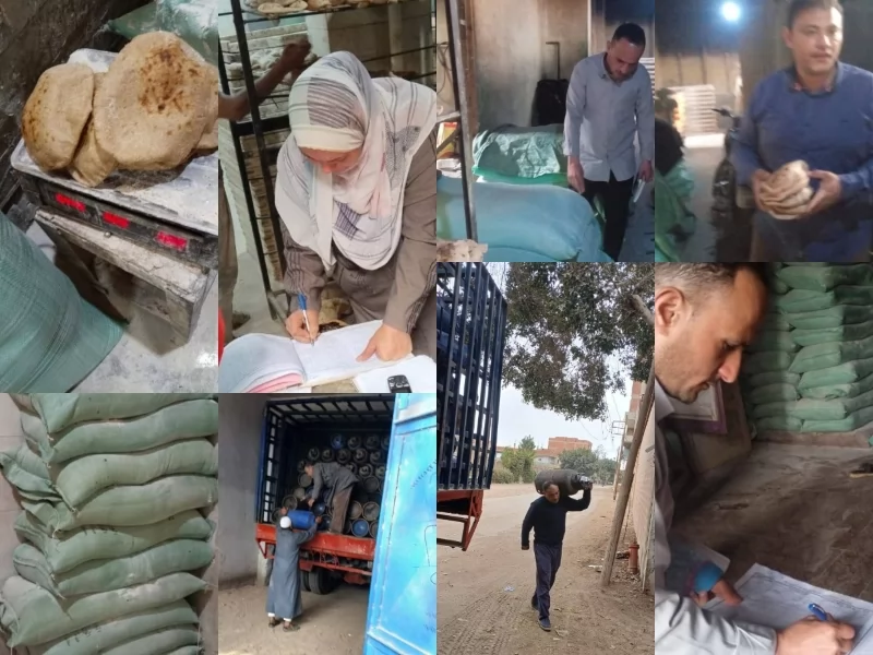 تموين القليوبية