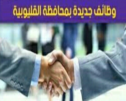 برواتب تصل لـ ٧٠٠٠ جنيه.. العمل تعلن عن وظائف في القليوبية