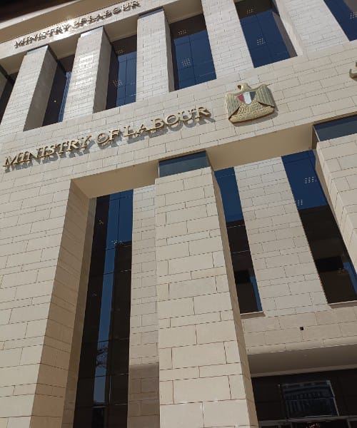 وزارة العمل: توفير فرص للعمل في مجال تربية المواشي بالاردن