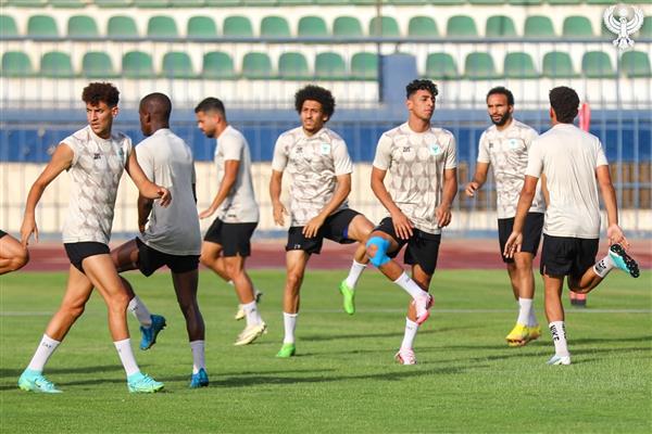المصرى