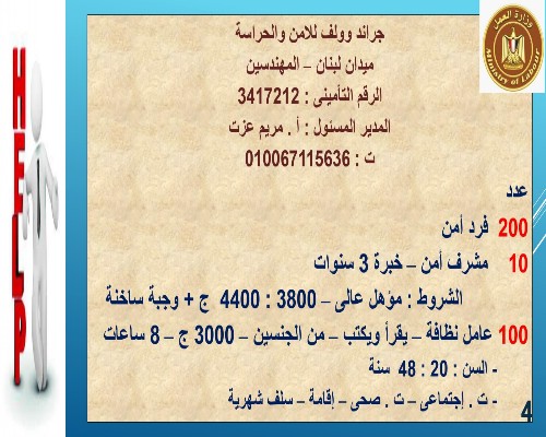 وزارة العمل تعلن عن توفير 3717 وظيفة خالية فى 13 محافظة