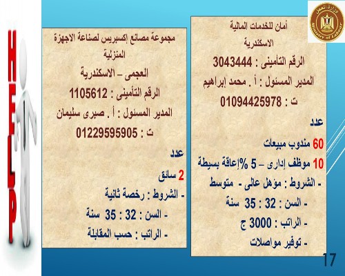 وزارة العمل تعلن عن توفير 3717 وظيفة خالية فى 13 محافظة