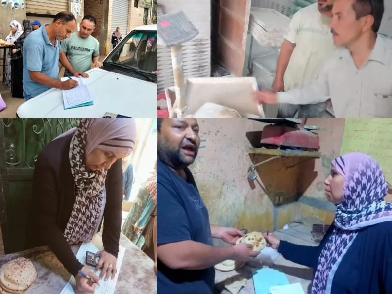 تموين القليوبية