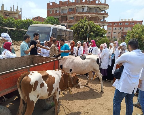 جامعة بنها تنظم قافلة بيطرية بقرية كفر عابد بطوخ