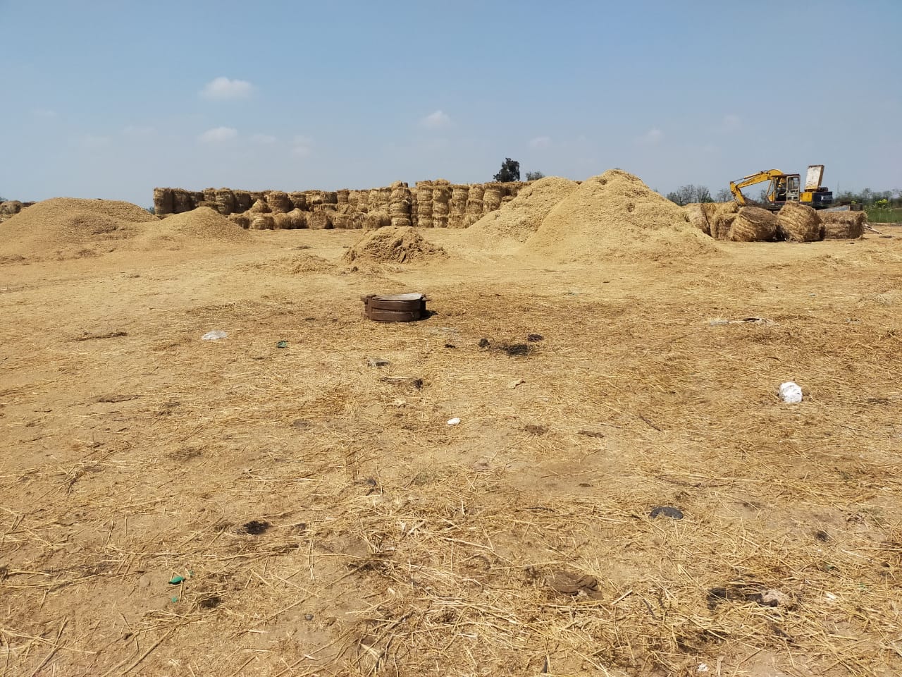 الزراعة: جمع وتدوير أكثر من 575 ألف طن قش الأرز 