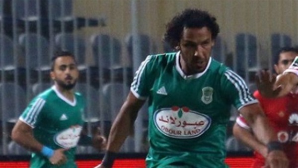نور السيد
