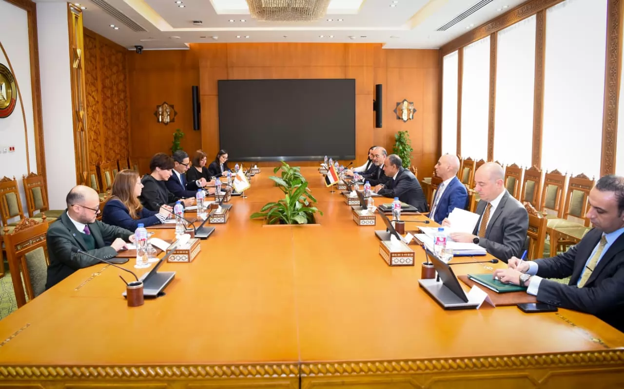 وزير الخارجية ونظيره القبرصي يبحثان استمرار التنسيق المشترك وربط حقول الغاز القبرصية بمصر 