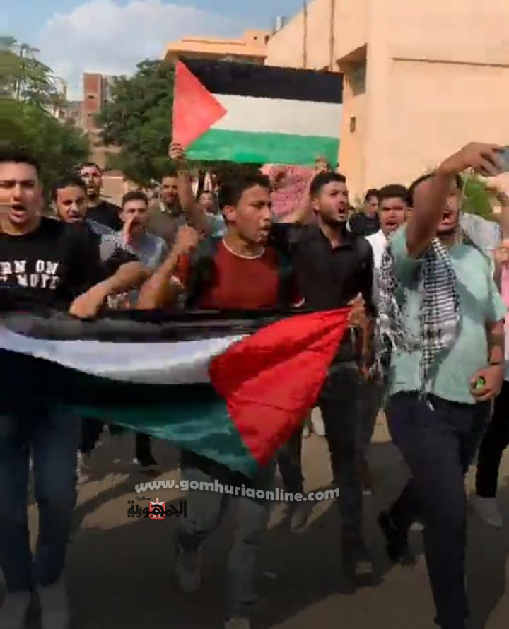 مسيرات بالمنوفية لدعم تصريحات الرئيس و تضامناً مع الشعب الفلسطينى