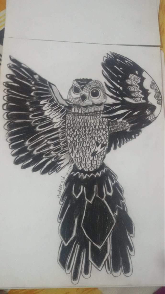 هدير عيد فنانة موهوبة فى عالم الرسم.. صور