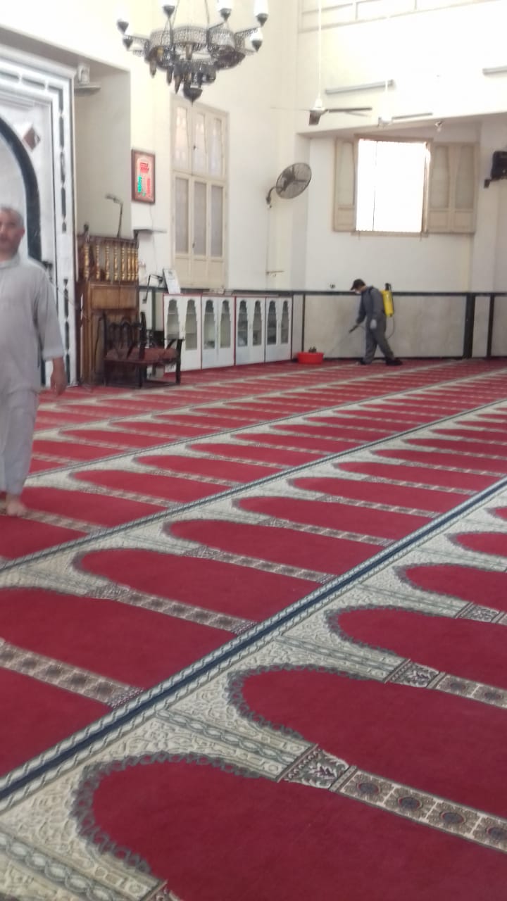 استمرار النشاط المكثف لمكافحة الذباب وناقلات الأمراض بالشرقية