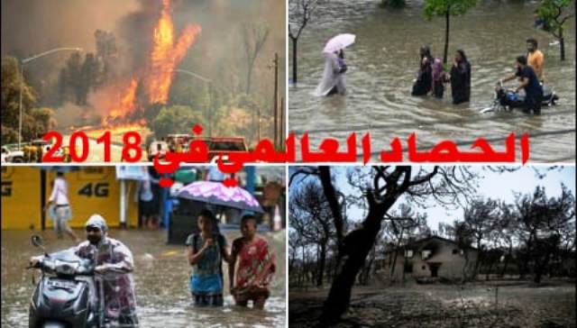 الحصاد العالمى فى 2018