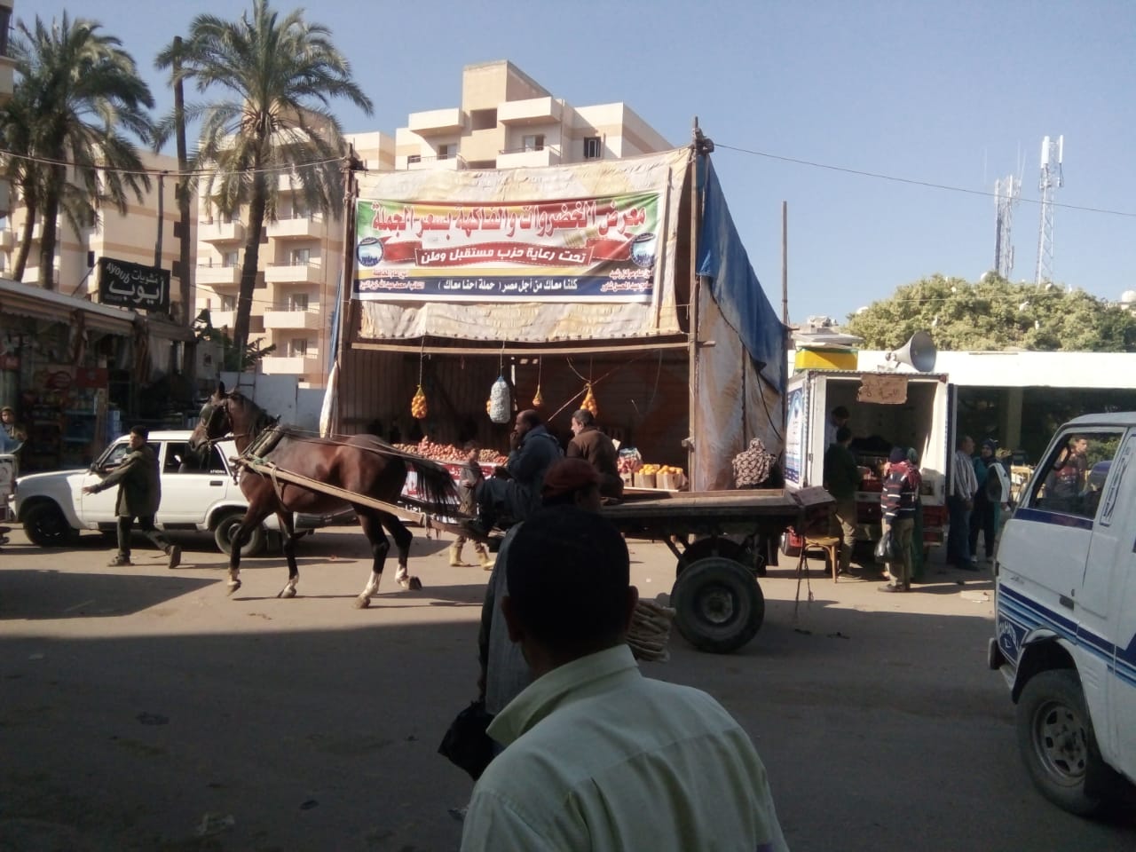 حزب مستقبل وطن بالبحيرة ينظم سيارات وشوادر لبيع اللحوم والاسماك والخضار باسعار مخفضة 