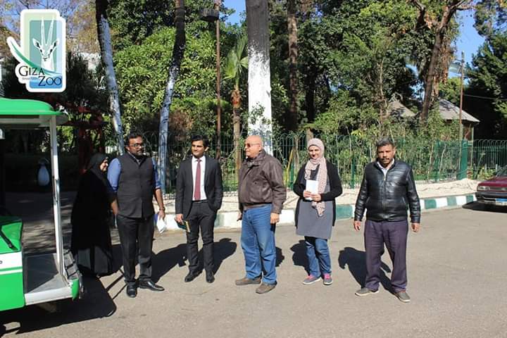  حديقة الحيوان فى انتظار زوج من الأفيال الهندية 