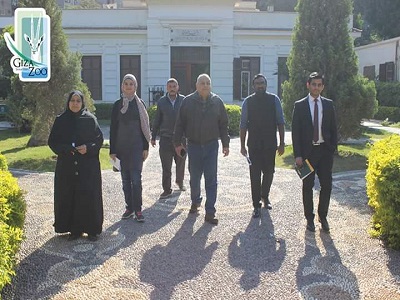  حديقة الحيوان فى انتظار زوج من الأفيال الهندية 