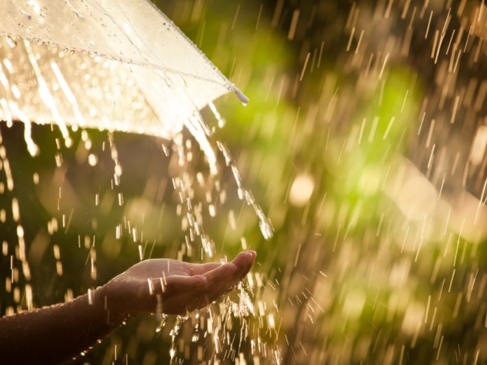 حكم الوضوء بماء المطر..المفتي يُجيب 