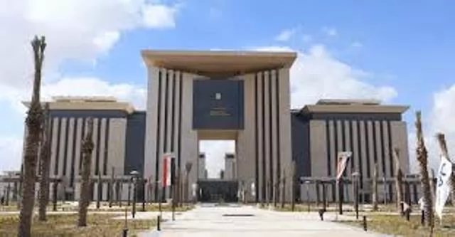 انجازات تاريخية في عام استثنائي للدبلوماسية المصرية 