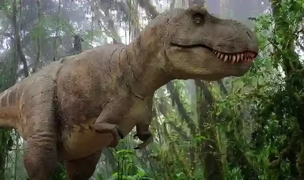 اكتشاف ديناصور بأشواك جلدية مجوفة عمرها 125 مليون سنة 