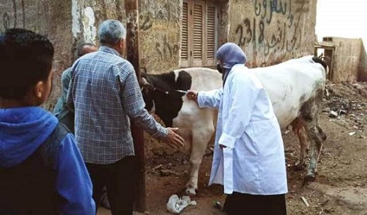 الحملة القومية للتحصين ضد الحمى القلاعية والوادي المتصدع بالشرقية