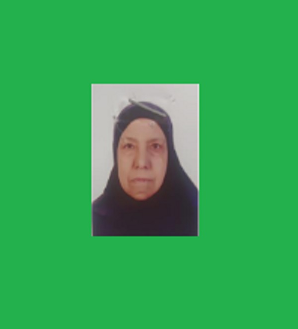 الأم المثالية البديلة بمحافظة الجيزة