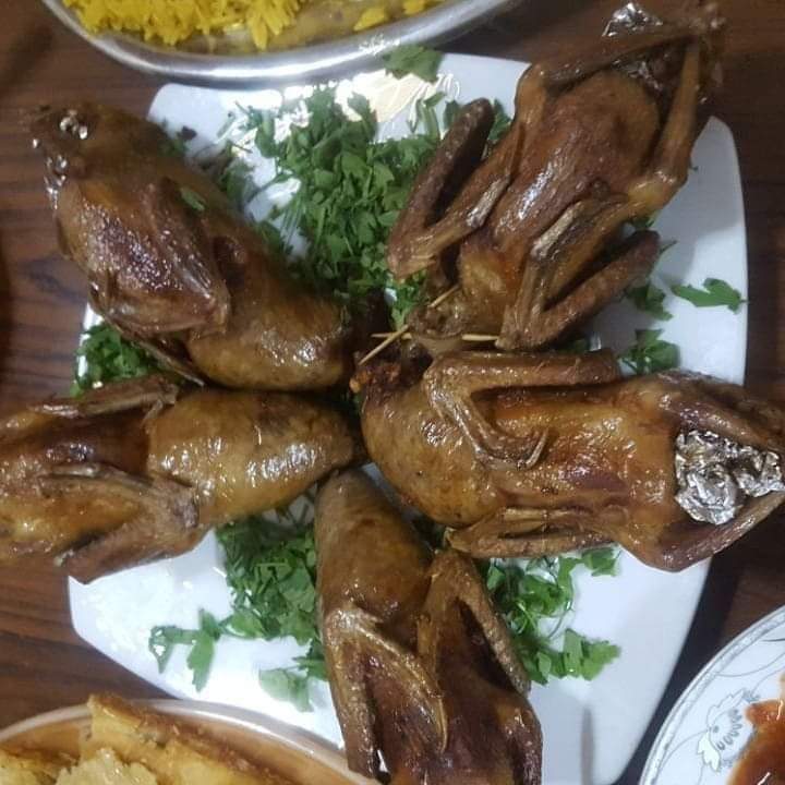 مطبخ صابرين ..الافطار:حمام بالفريك..والحلو :بودنج المانجوبالكريمة للشيف سحر شعراوي