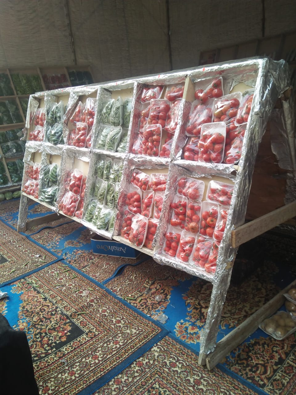 محافظة الجيزة..٣ منافذ جديدة لبيع الخضراوات والفاكهة بأسعار مخفضة ببولاق والطالبية والصف