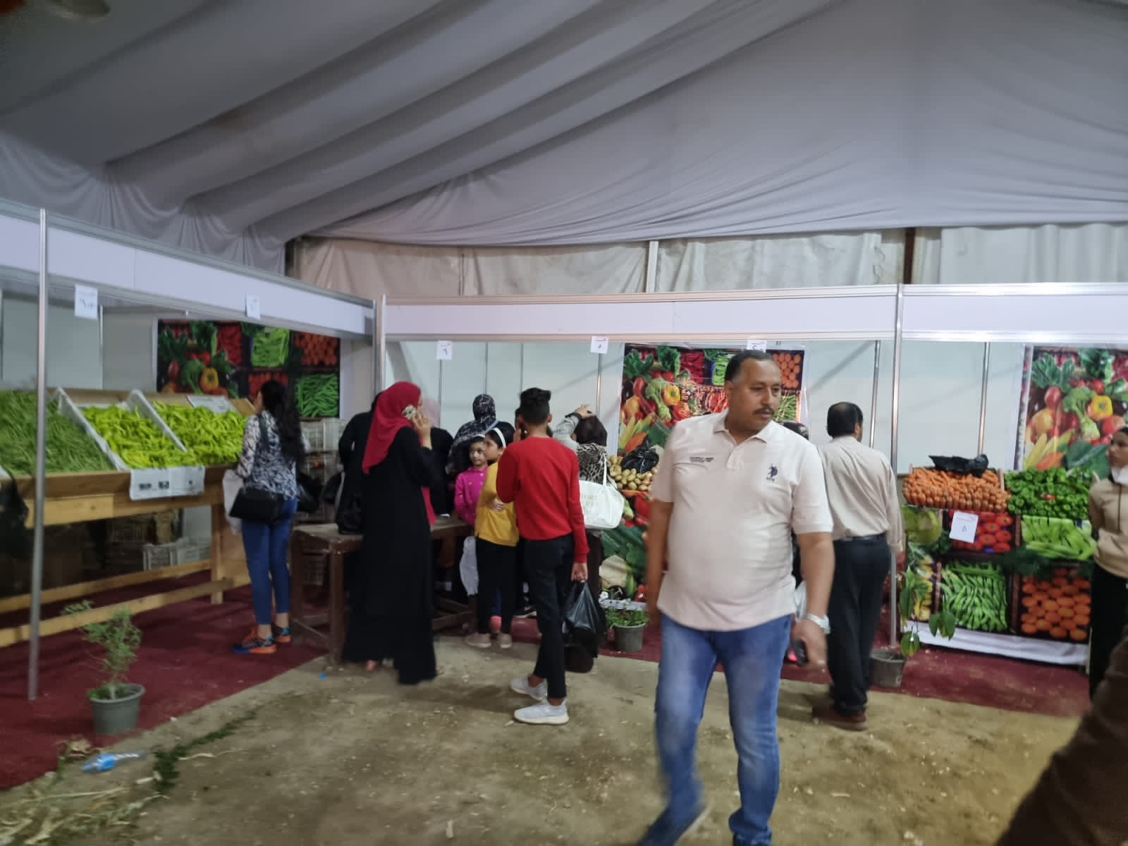 محافظة الجيزة..٣ منافذ جديدة لبيع الخضراوات والفاكهة بأسعار مخفضة ببولاق والطالبية والصف