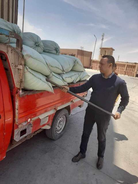 توريد ١٣٥٢ طناً من محصول القمح إلى صوامع المنيا