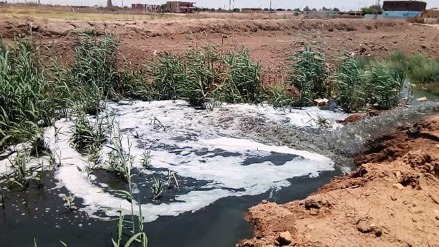 المياه السوداء تهدد حياة  أهالى قرية بلا صرف بالوادى الجديد.. بالفيديو 