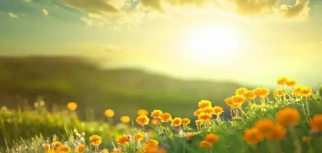 هَدي النبي صلى الله عليه وسلم في استقبال الصباح 