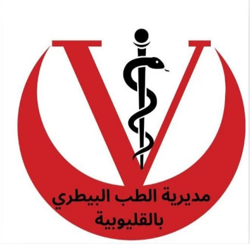 ضبط ربع طن دواجن ولحوم غير صالحة للاستهلاك الآدمي في بنها