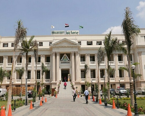 جامعة بنها 