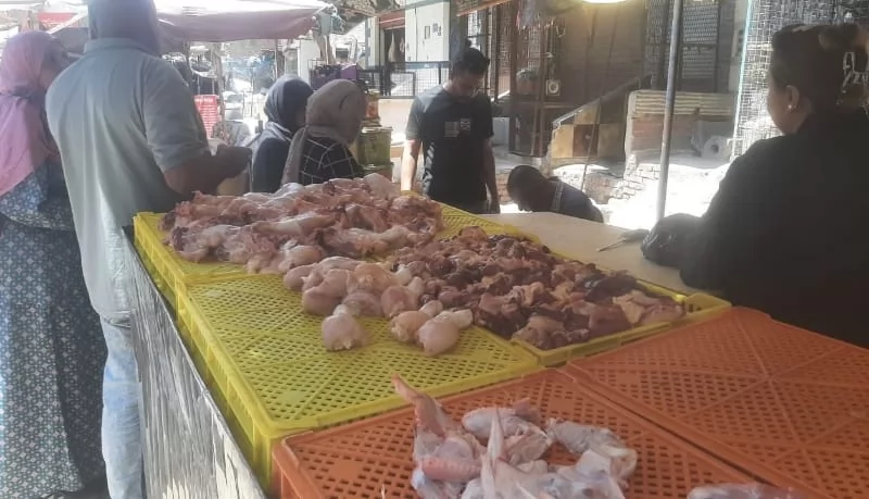 تموين القليوبية