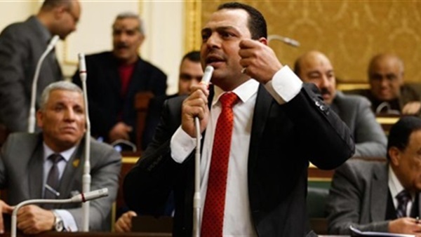 سامح السايح عضو مجلس النواب