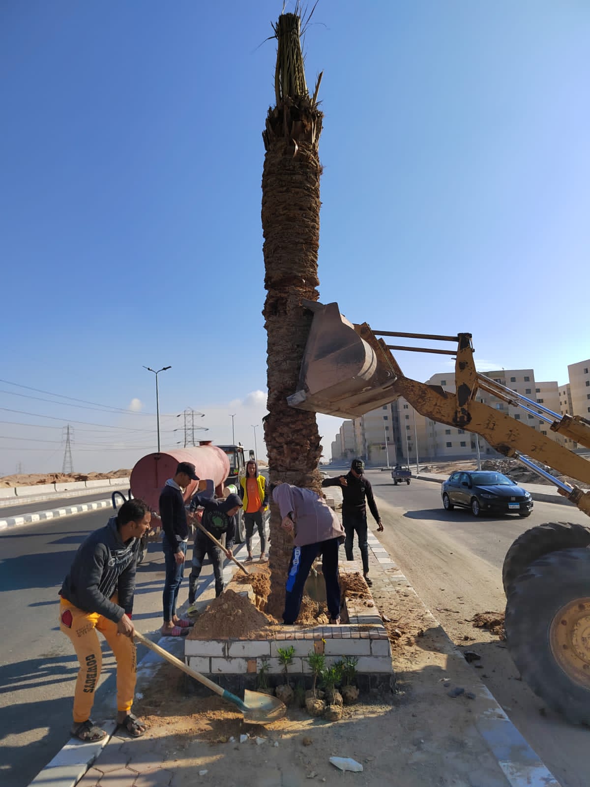 حملة لزراعة مليون شجرة مثمرة فى مدينة العبور الجديدة