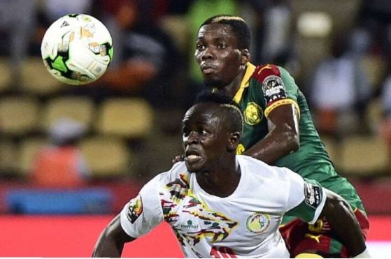 السنغال و الكاميرون