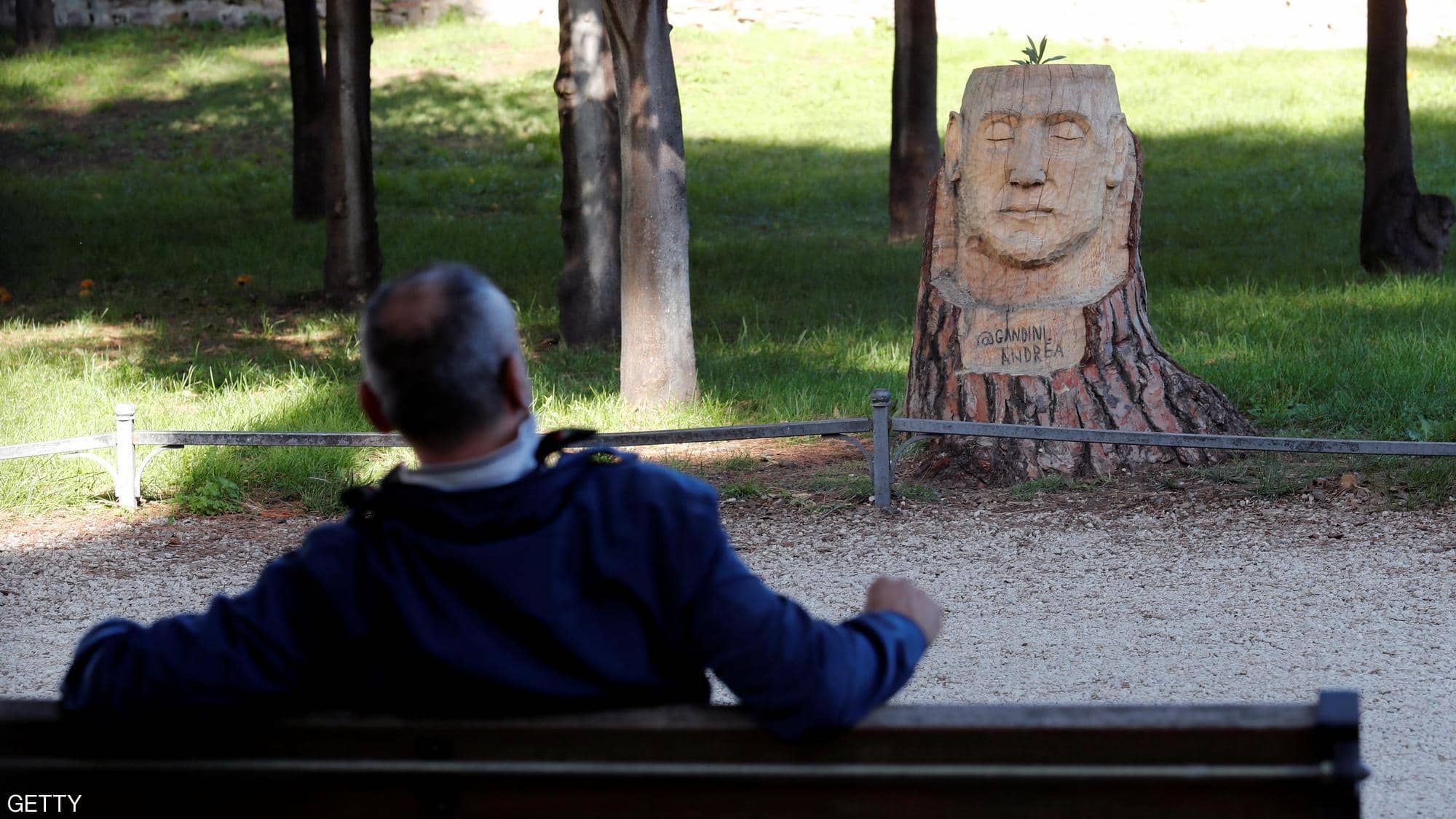 جذوع الأشجار الميتة تتحول إلى لوحات فنية في  ايطاليا..صور